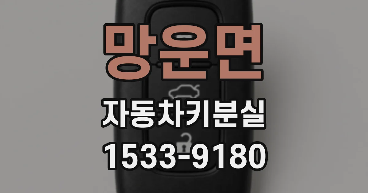 망운면 자동차키분실