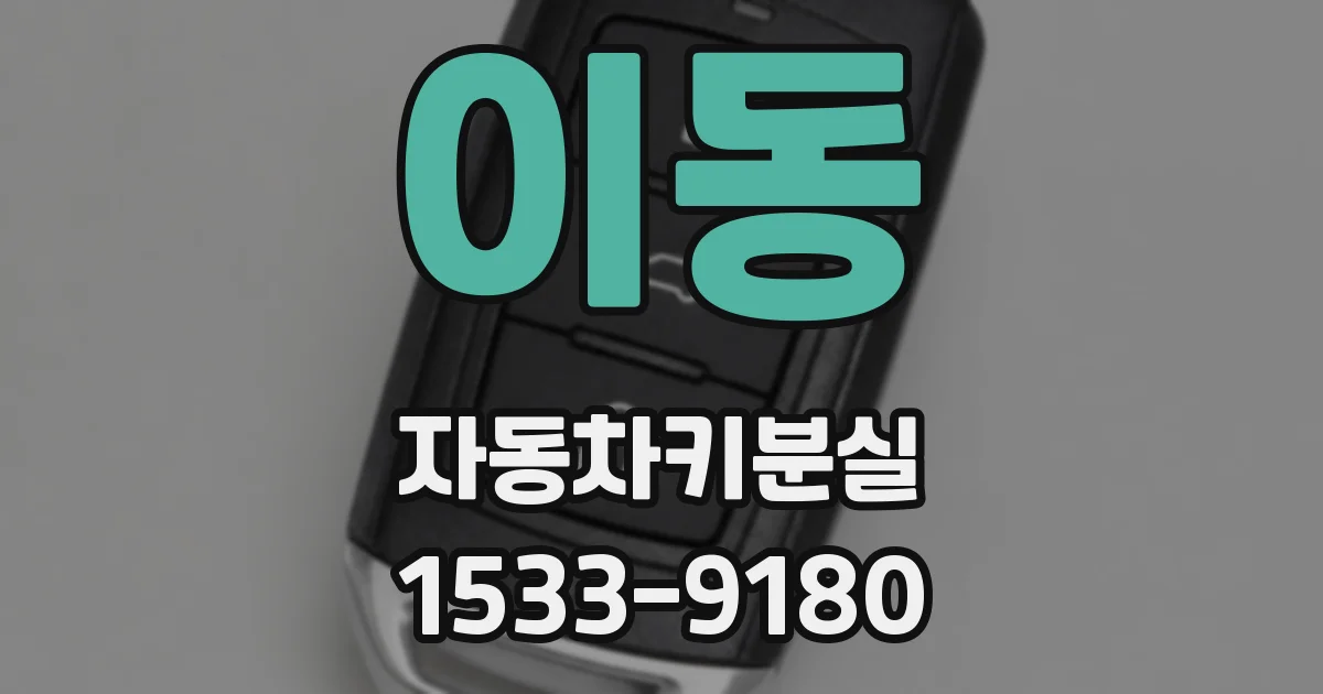 이동 자동차키분실