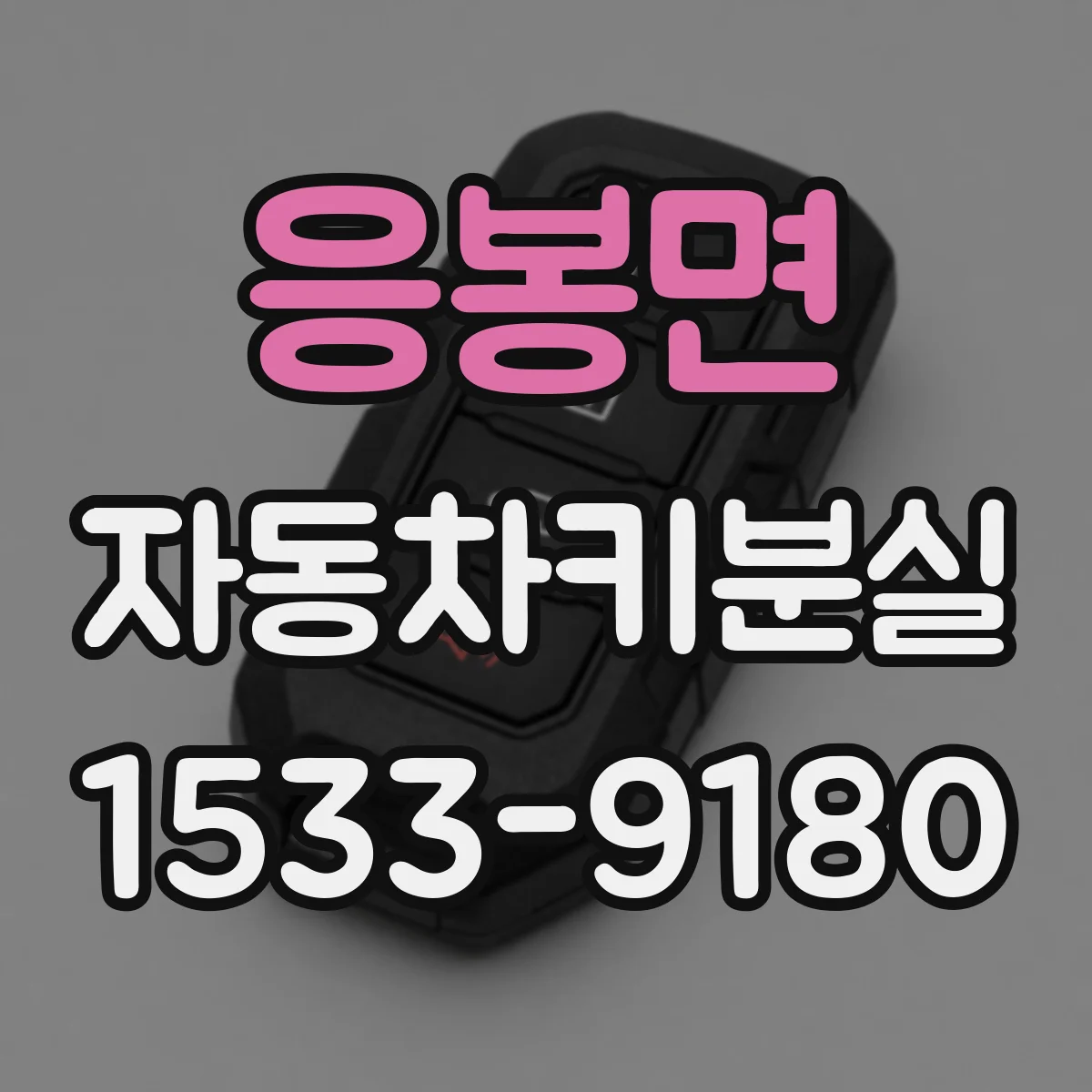 응봉면 자동차키분실
