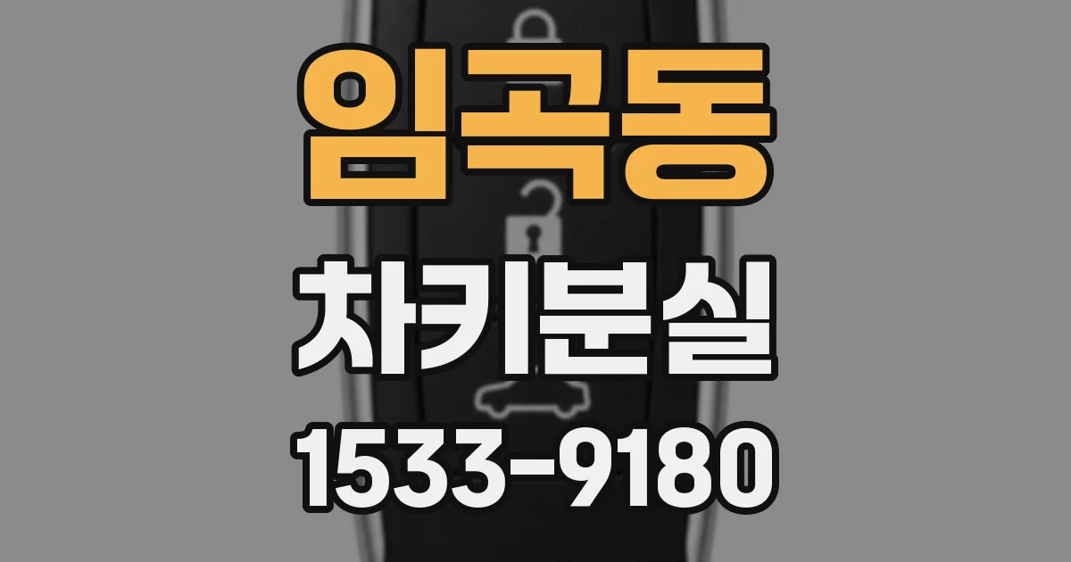 임곡동 차키분실
