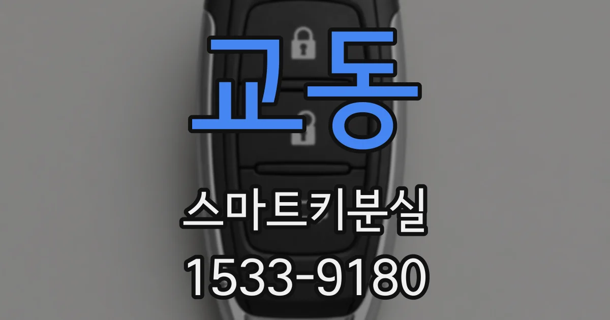 교동 스마트키분실