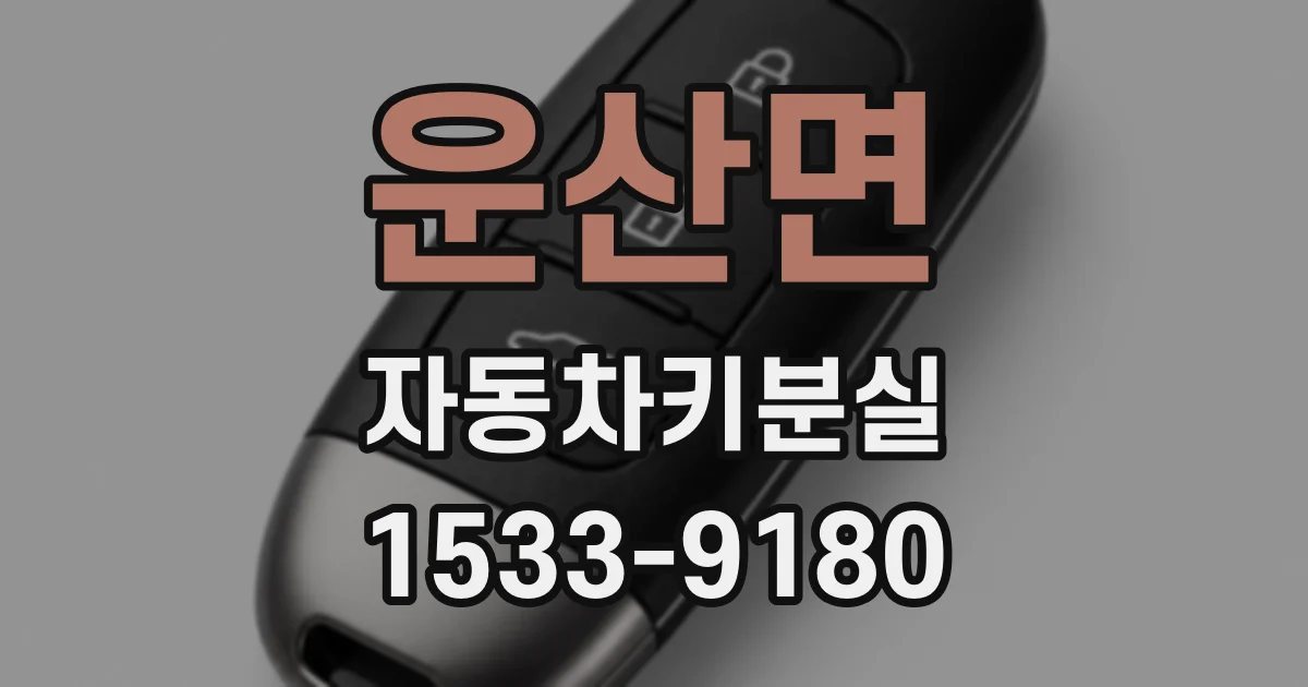 운산면 자동차키분실