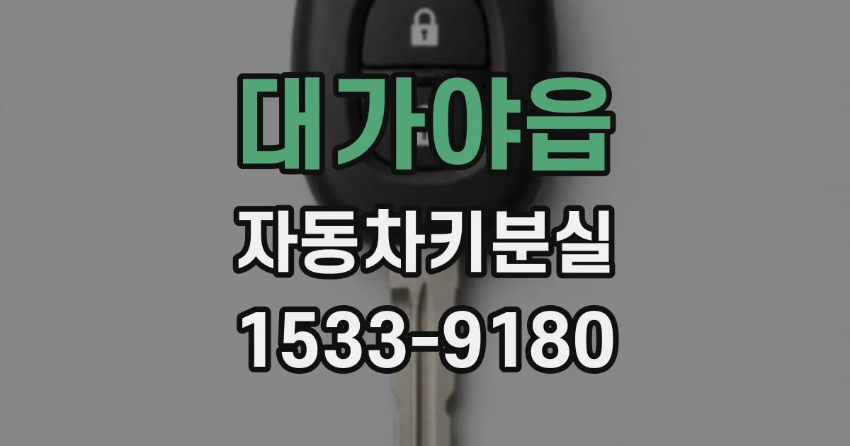 대가야읍 자동차키분실