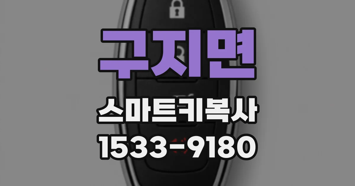 구지면 스마트키복사