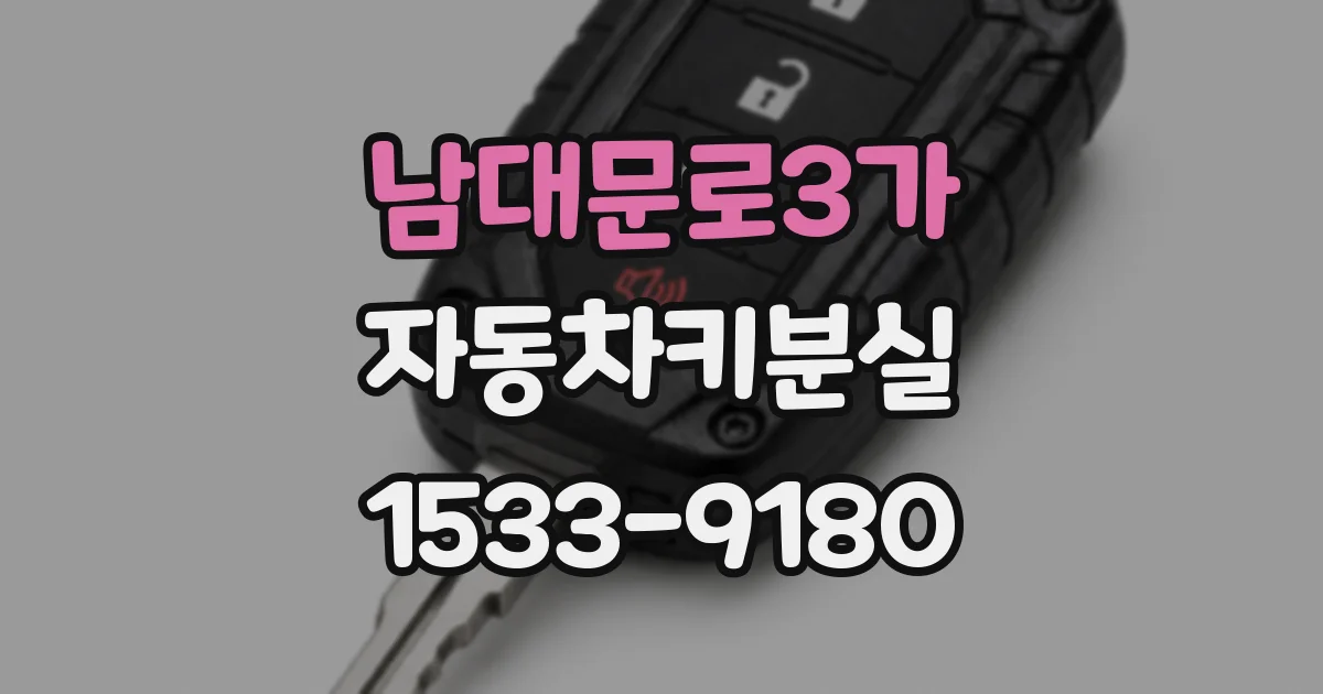 남대문로3가 자동차키분실
