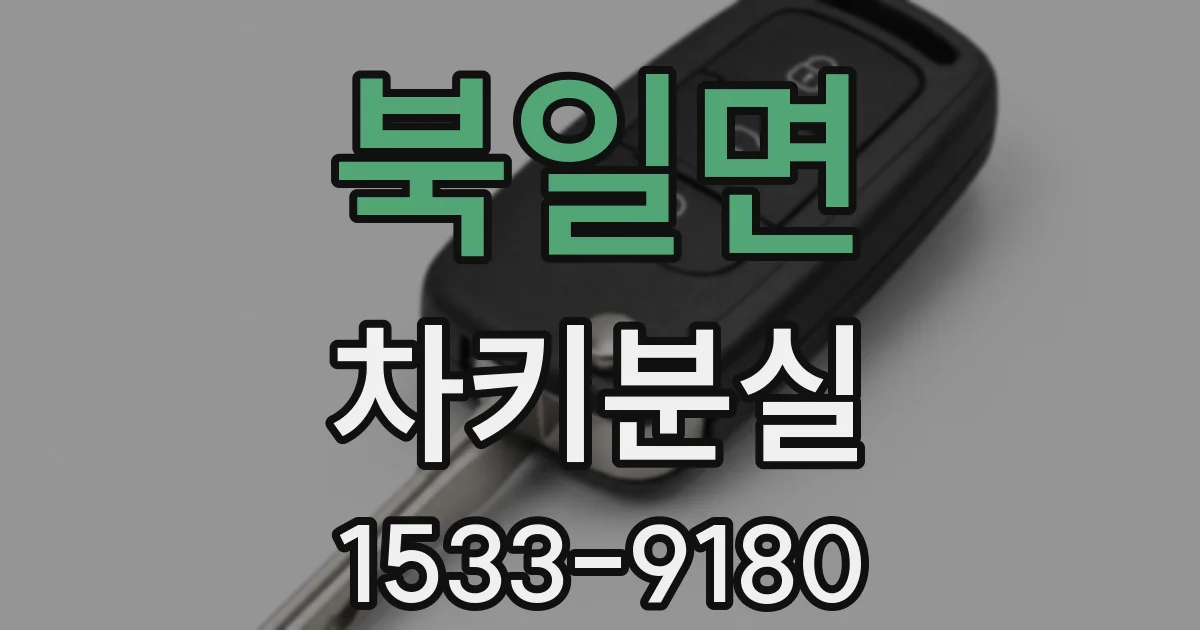 북일면 차키분실