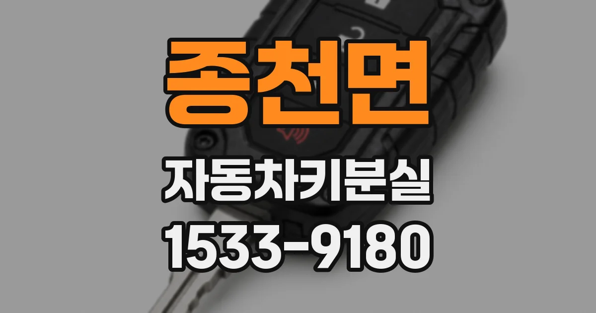 종천면 자동차키분실