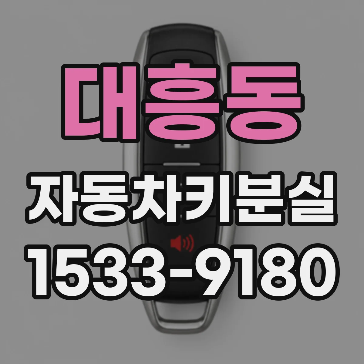 대흥동 자동차키분실