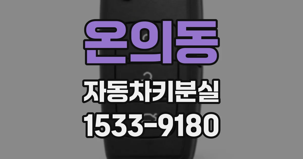 온의동 자동차키분실
