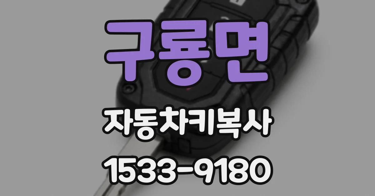 구룡면 자동차키복사