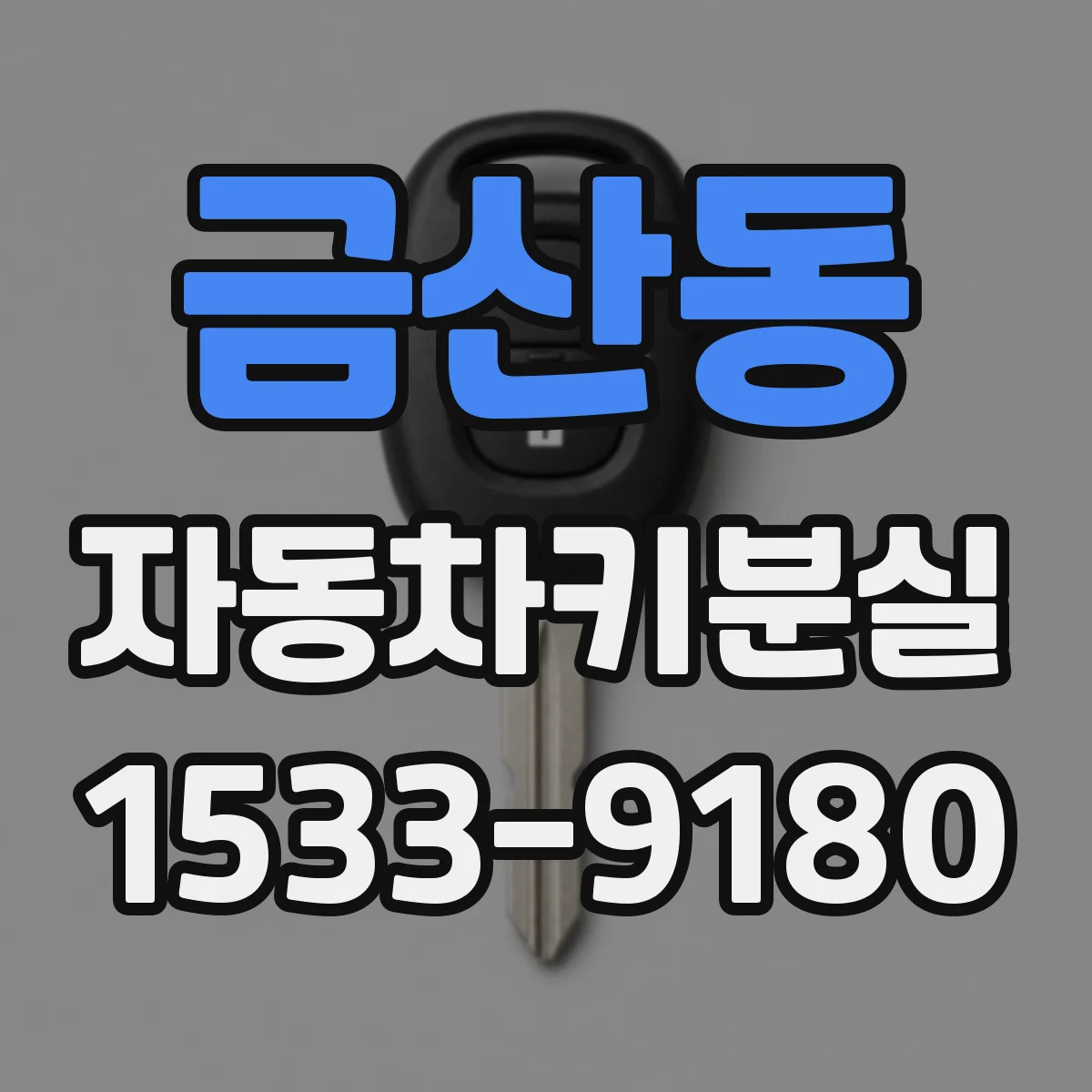 금산동 자동차키분실