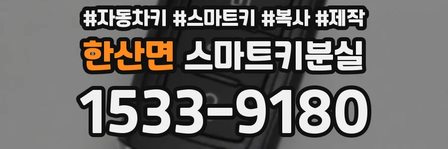 한산면 스마트키분실