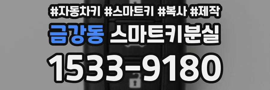 금강동 스마트키분실