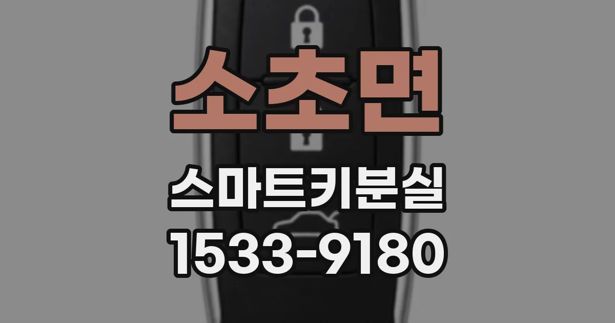 소초면 스마트키분실