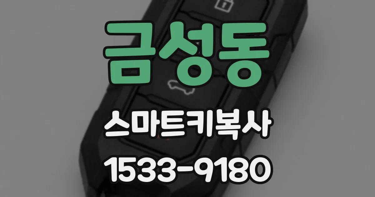 금성동 스마트키복사