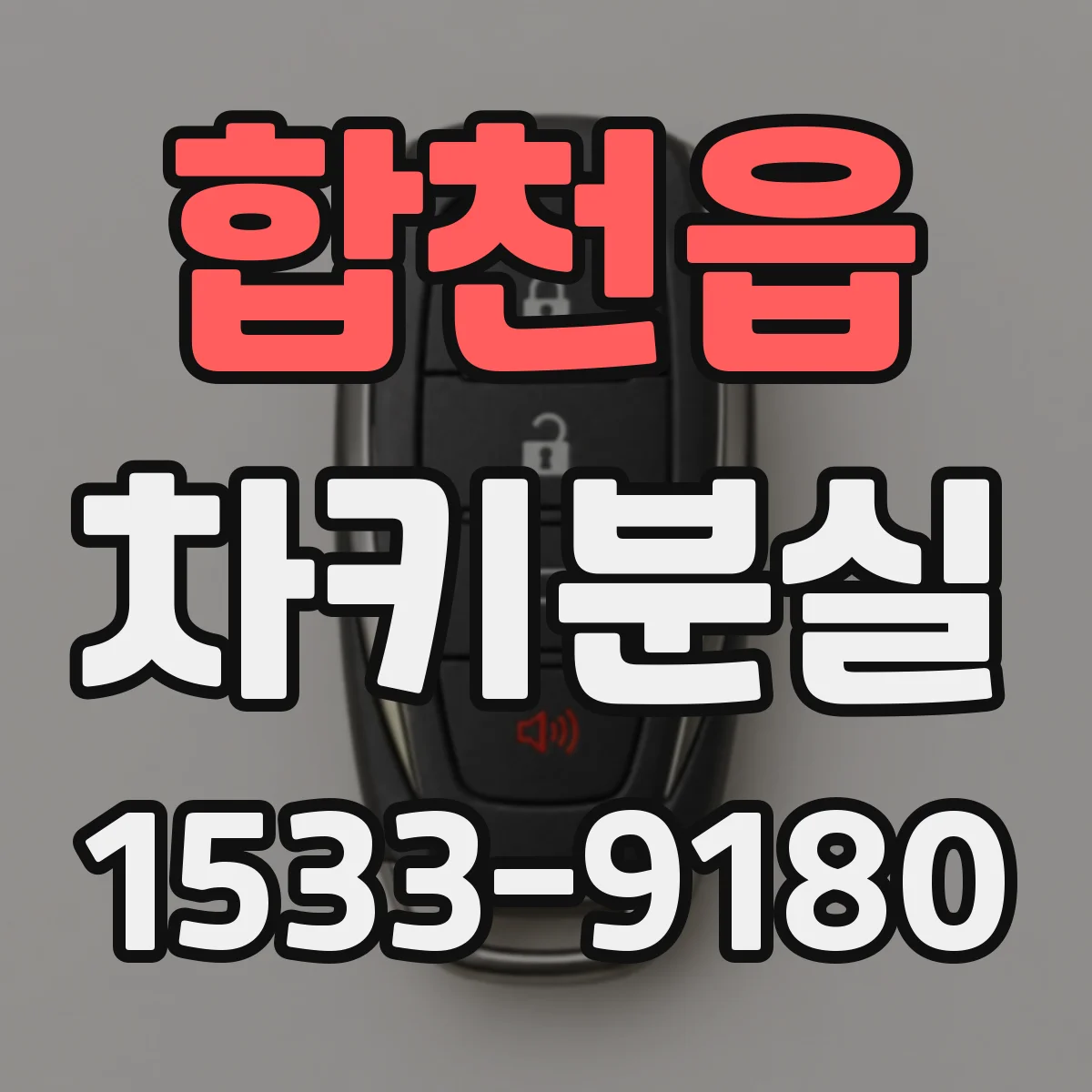 합천읍 차키분실