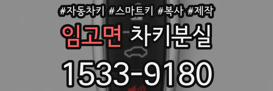 임고면 차키분실