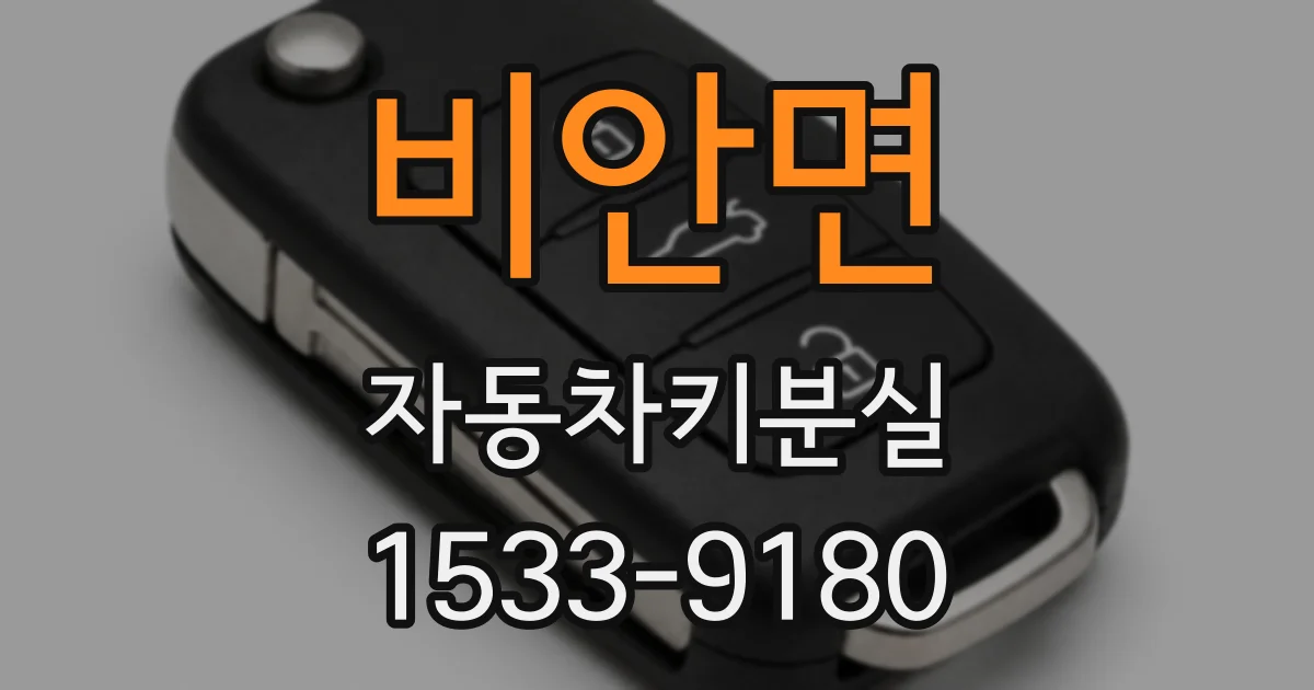 비안면 자동차키분실