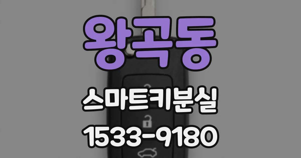 왕곡동 스마트키분실
