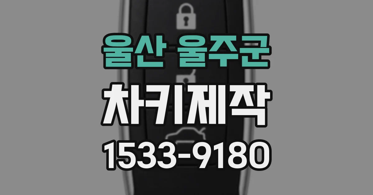 울산 울주군 차키제작
