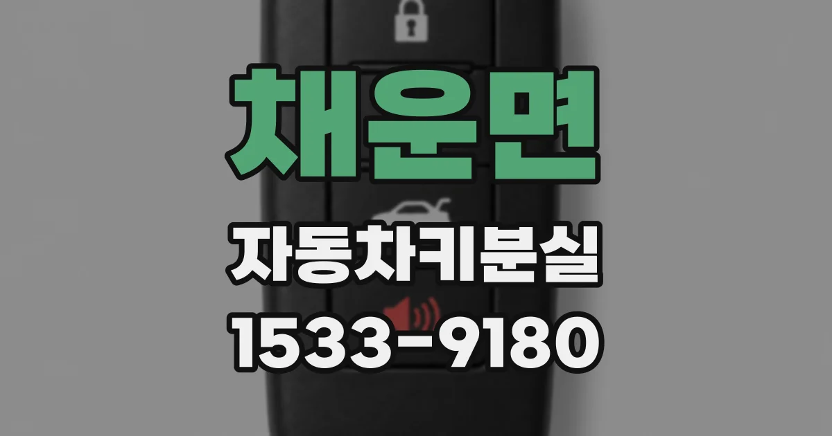 채운면 자동차키분실
