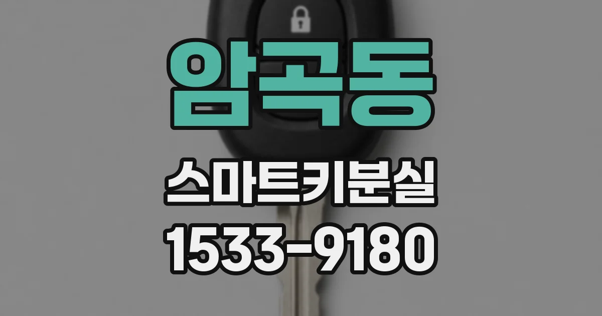 암곡동 스마트키분실