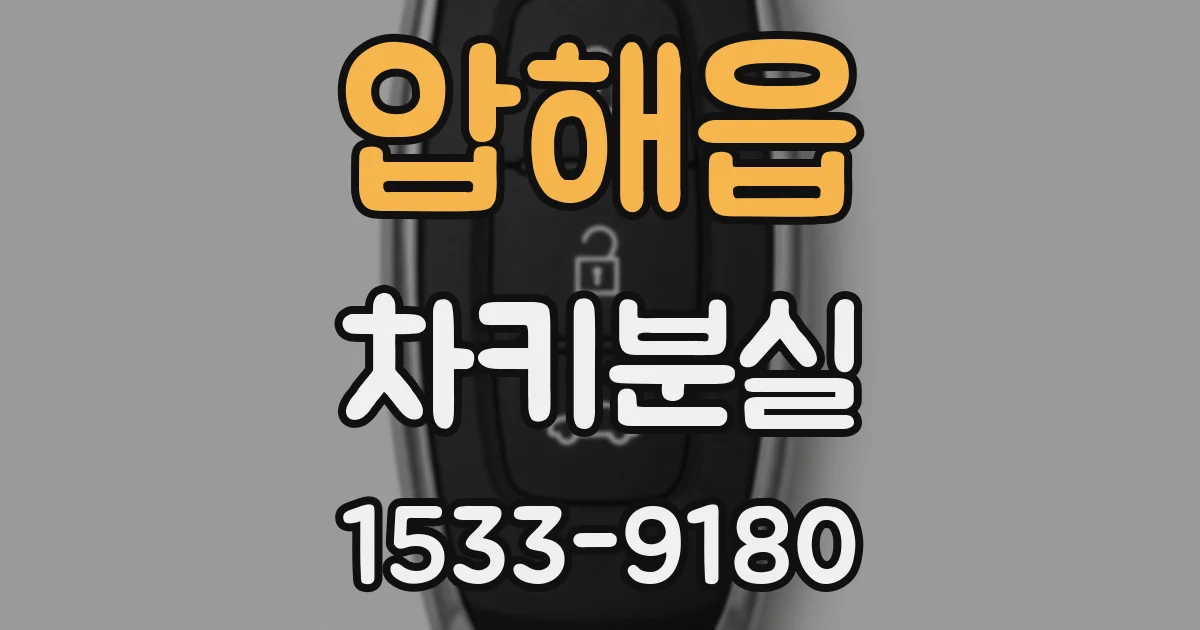 압해읍 차키분실