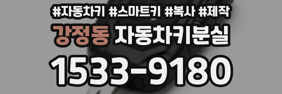 강정동 자동차키분실