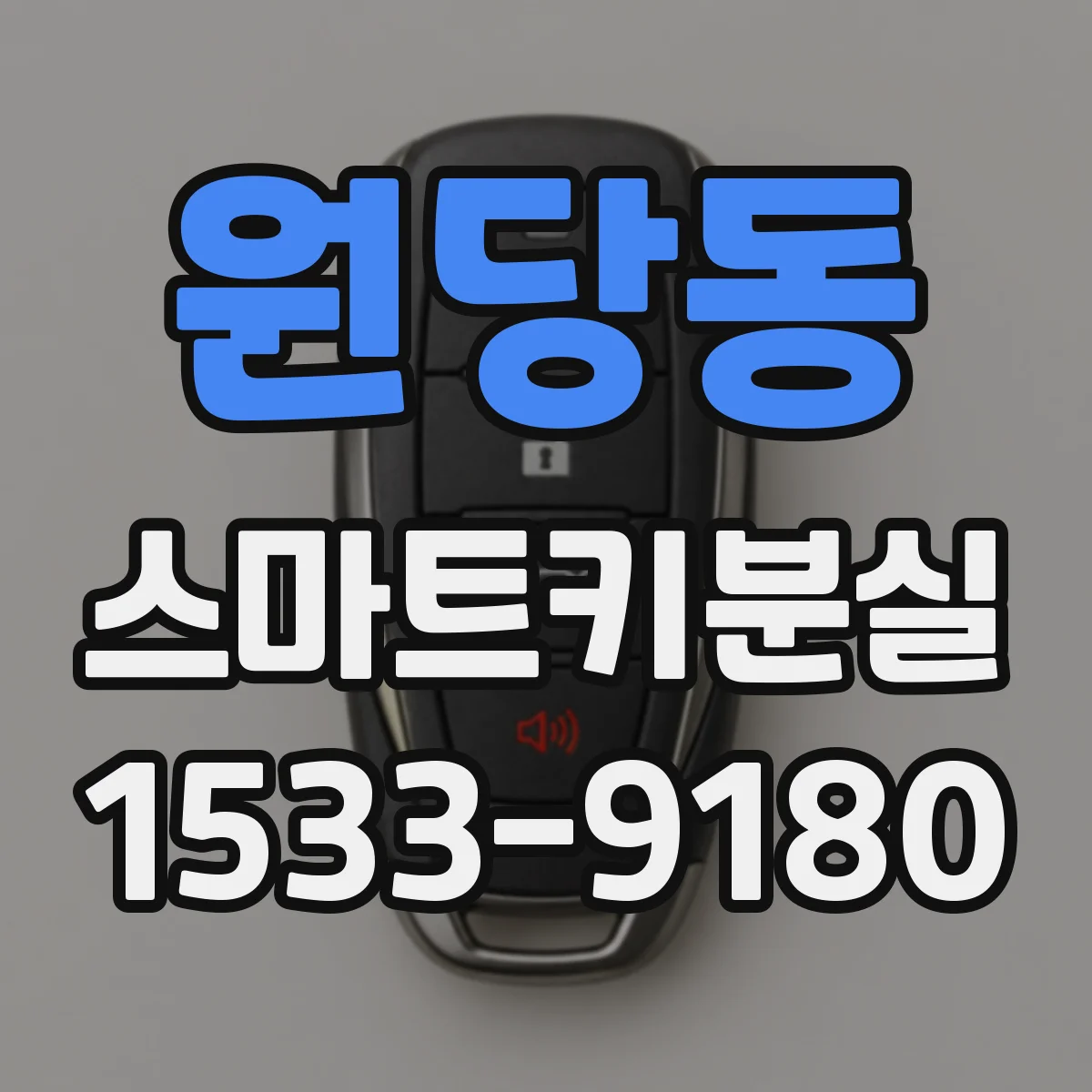 원당동 스마트키분실