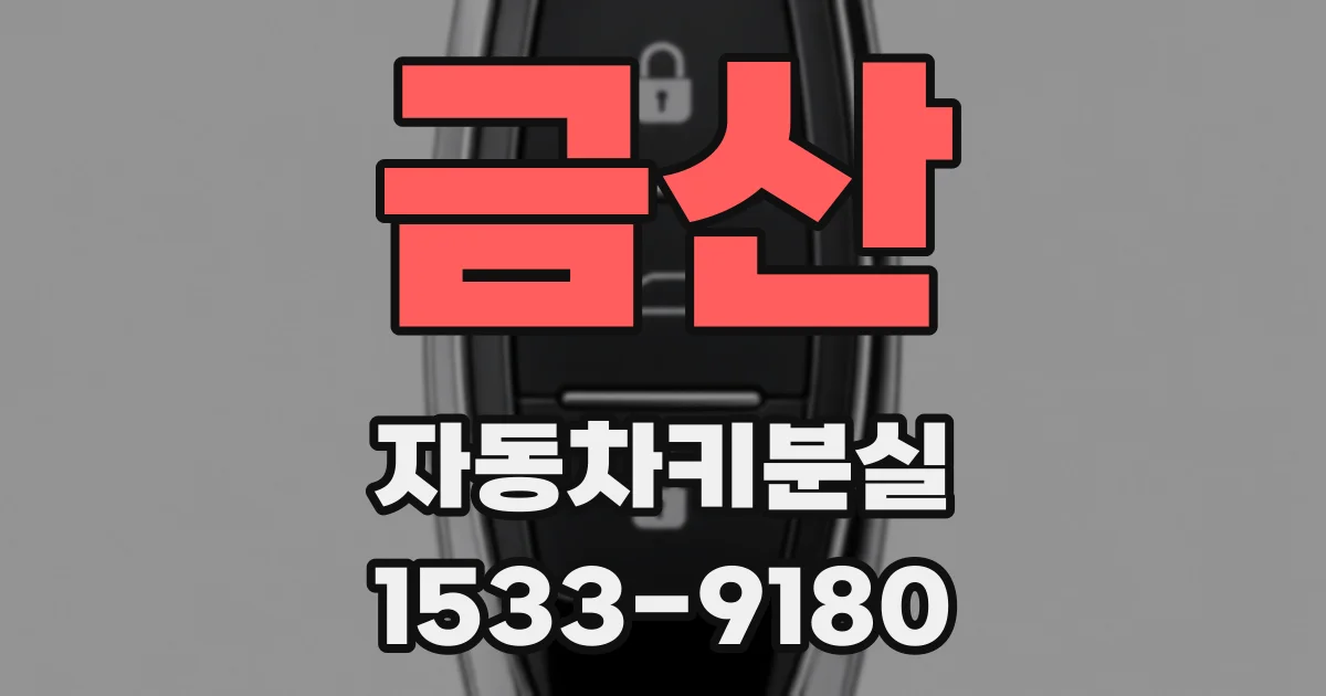 금산 자동차키분실