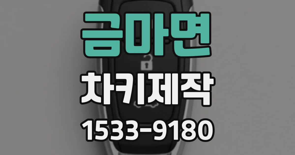 금마면 차키제작