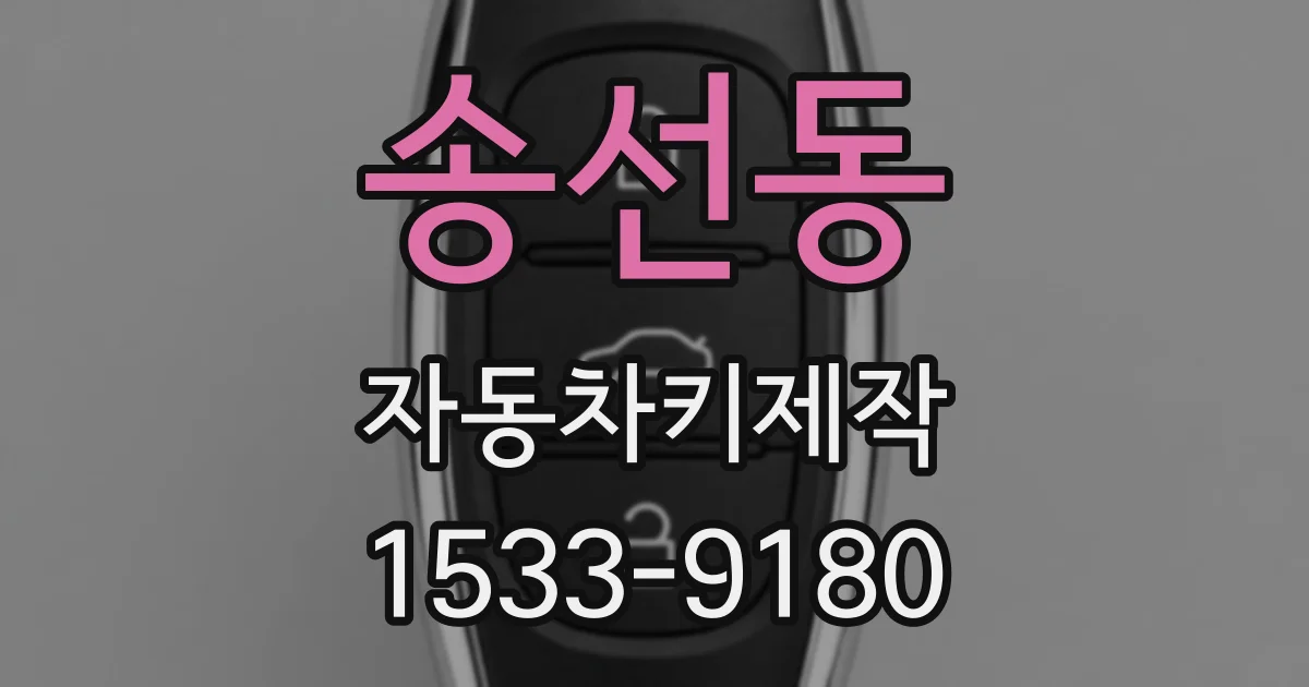 송선동 자동차키제작