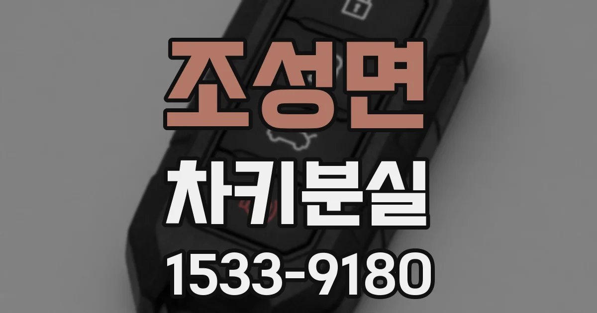 조성면 차키분실