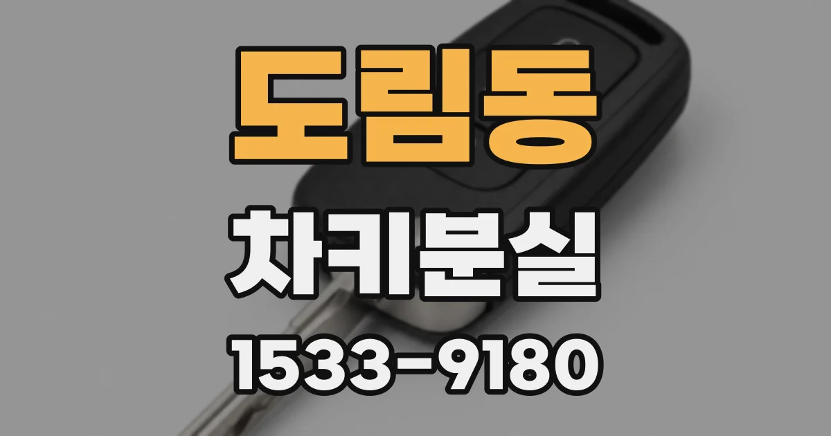 도림동 차키분실
