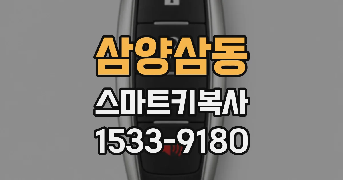 삼양삼동 스마트키복사