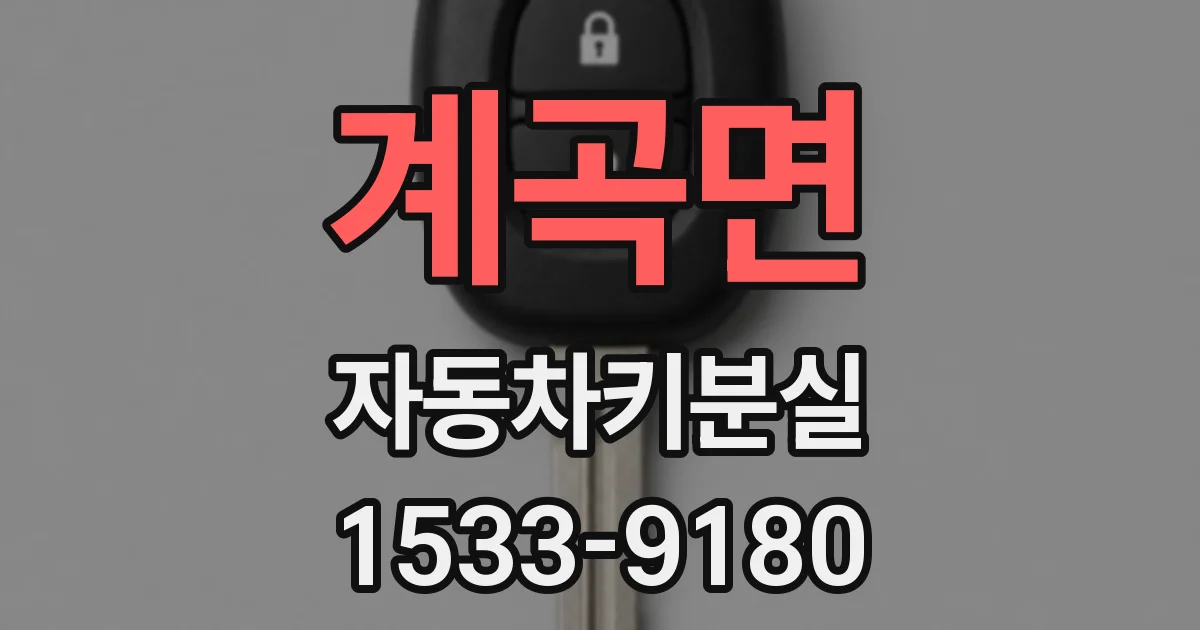계곡면 자동차키분실