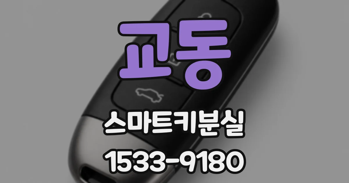 교동 스마트키분실
