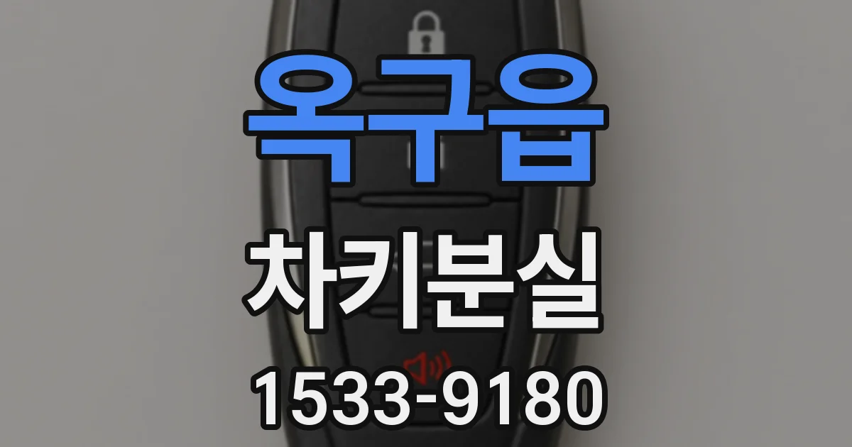 옥구읍 차키분실