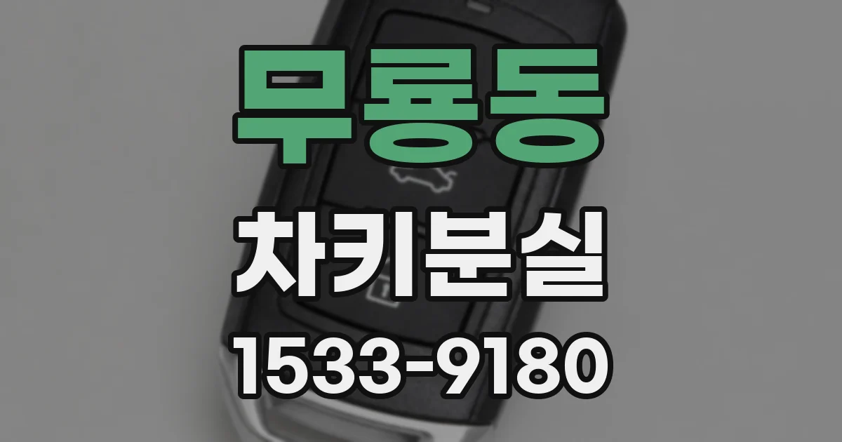무룡동 차키분실