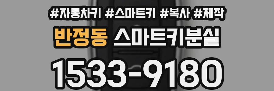 반정동 스마트키분실
