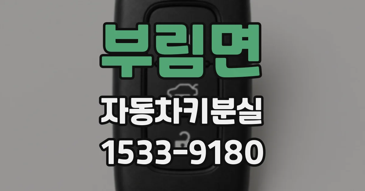 부림면 자동차키분실
