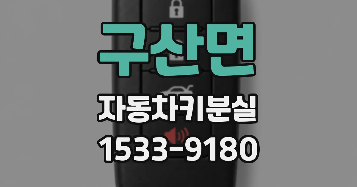 구산면 자동차키분실