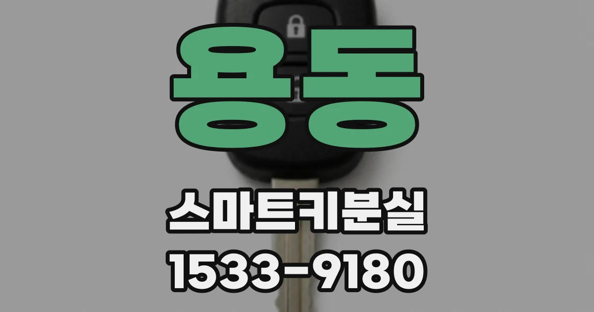 용동 스마트키분실