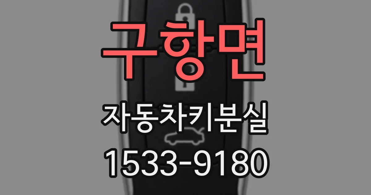 구항면 자동차키분실