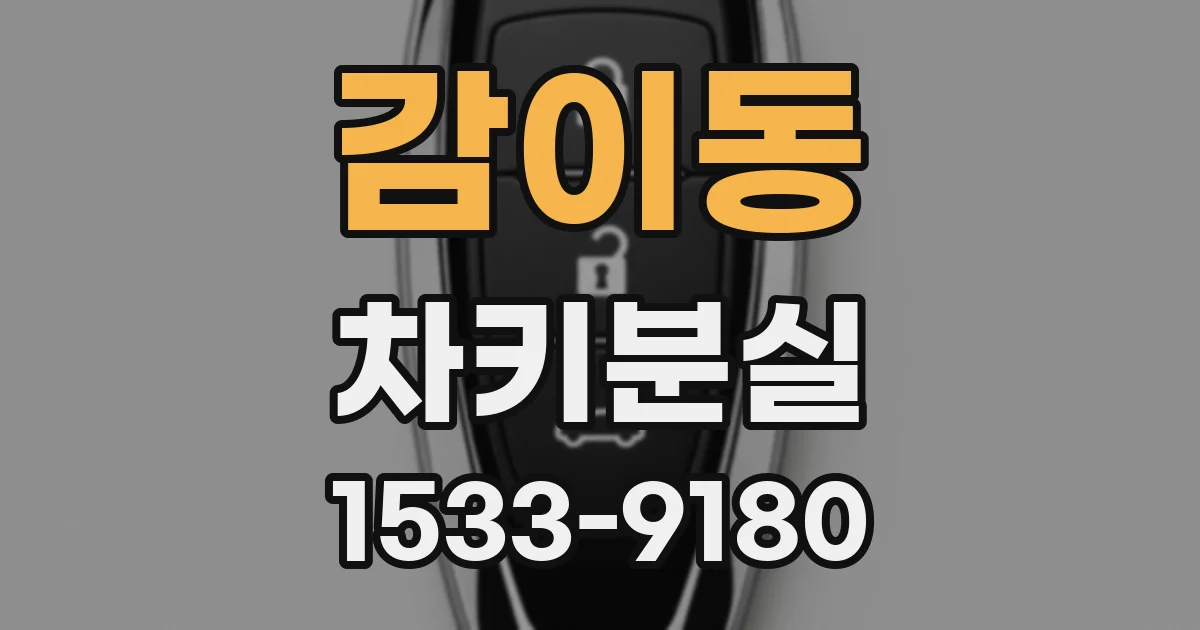 감이동 차키분실