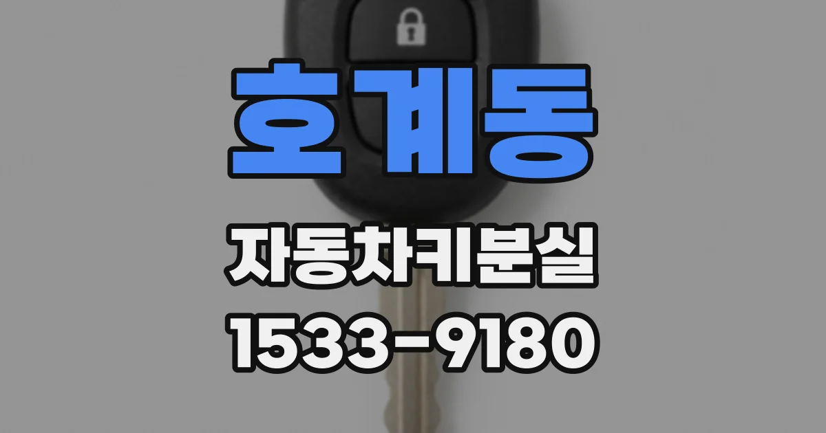 호계동 자동차키분실