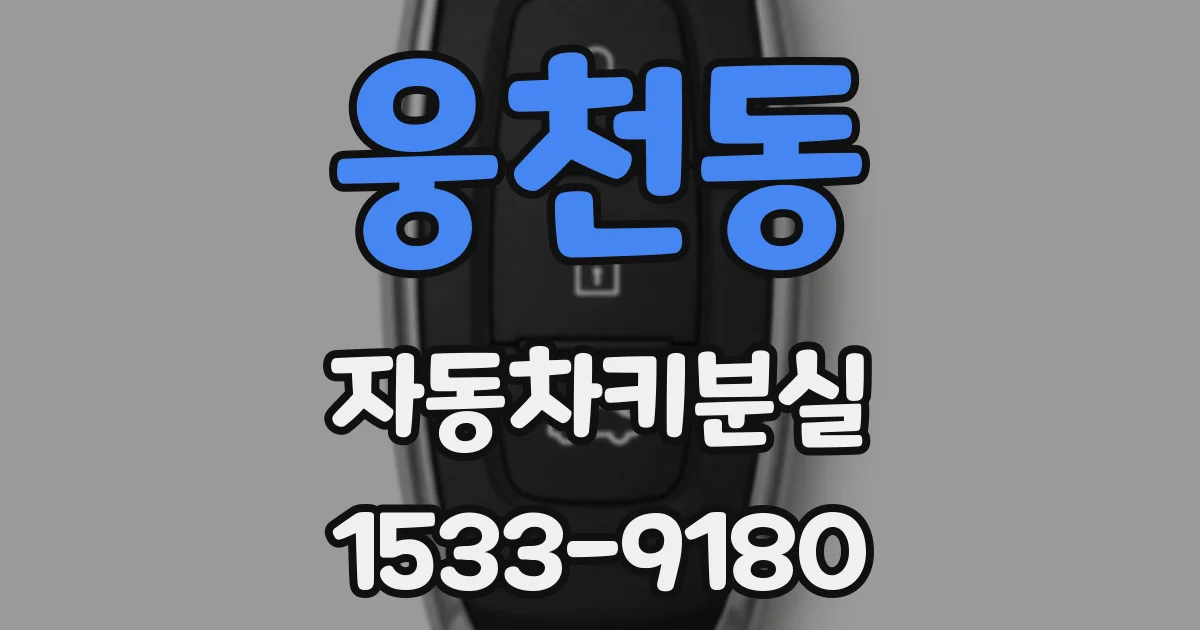 웅천동 자동차키분실