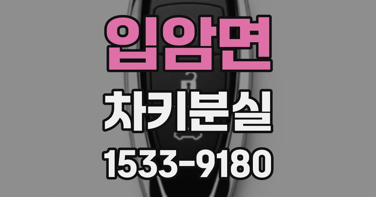 입암면 차키분실