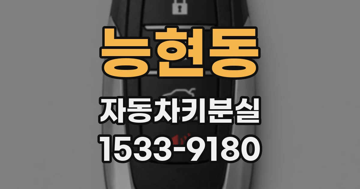 능현동 자동차키분실
