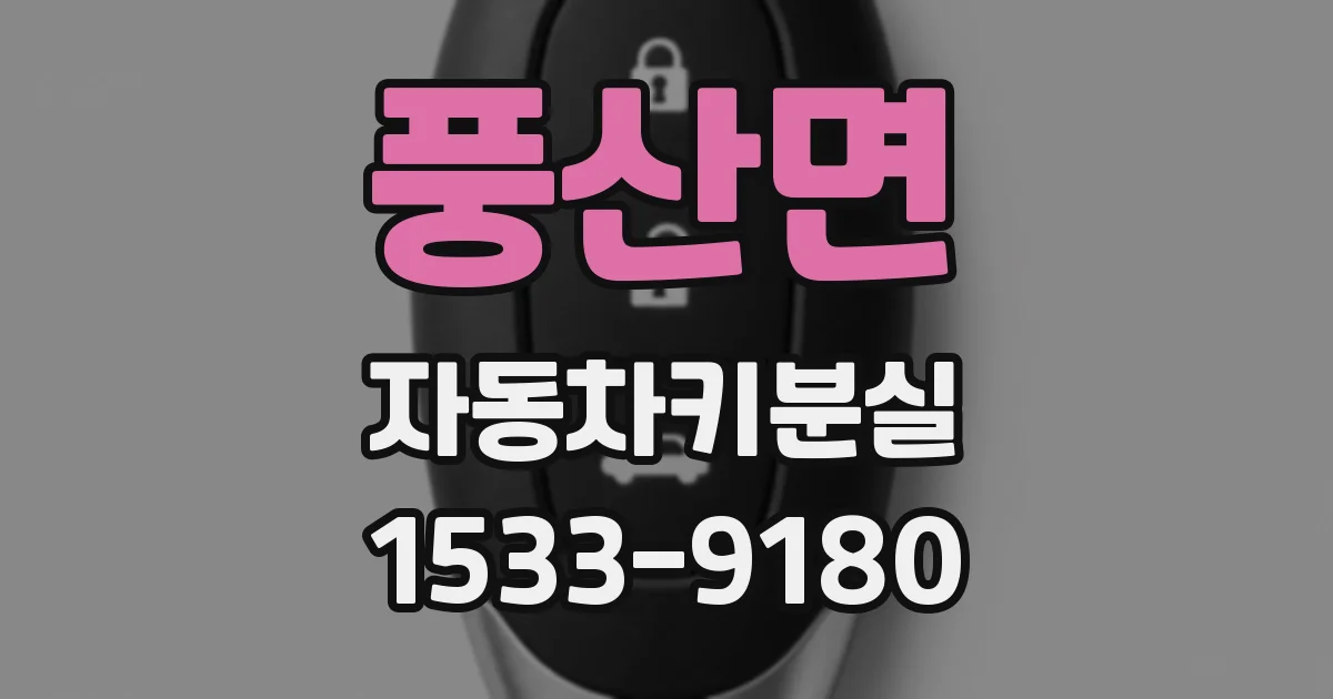 풍산면 자동차키분실